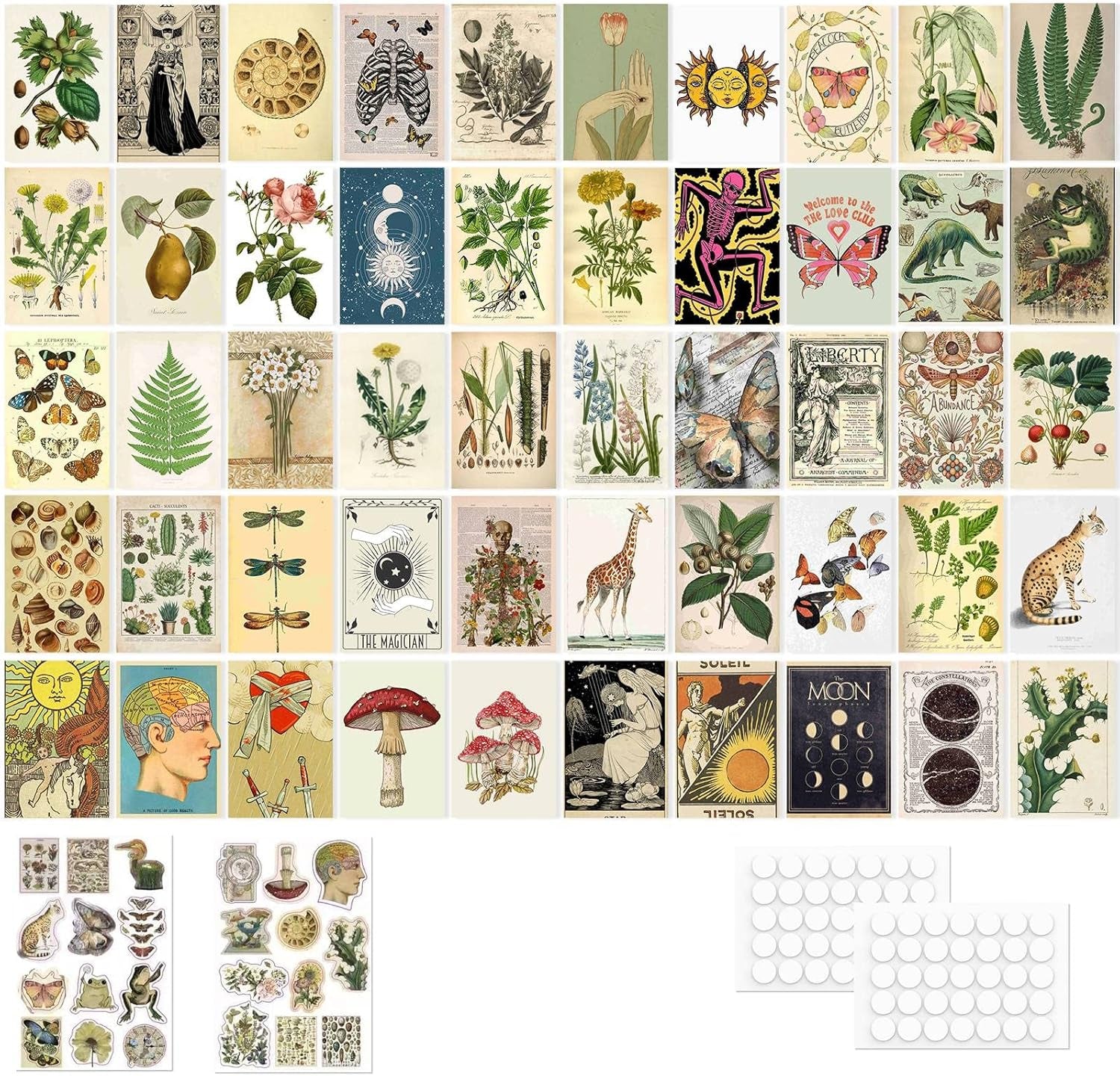 Posters for Room Aesthetic| Vintage Decor - Wall Collage Kit 50Pcs Dorm Decor | Bedroom Decor for Teen Girls| Cottagecore Room Decor Posters: Mushroom, Botanical, Astrology| 4X 6
