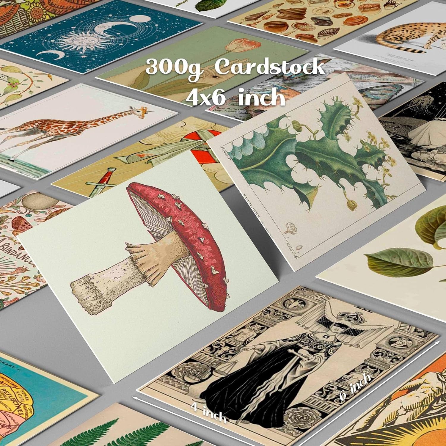 Posters for Room Aesthetic| Vintage Decor - Wall Collage Kit 50Pcs Dorm Decor | Bedroom Decor for Teen Girls| Cottagecore Room Decor Posters: Mushroom, Botanical, Astrology| 4X 6