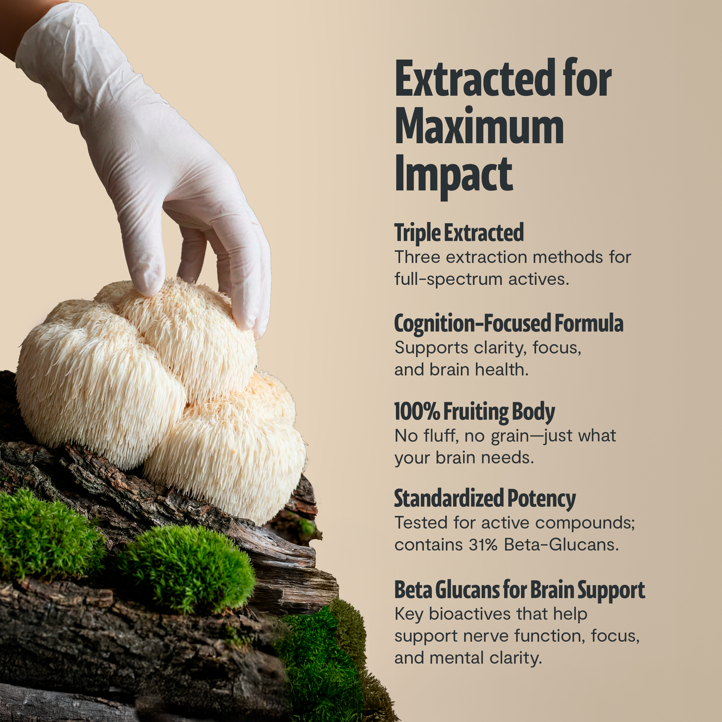 FreshCap Organic Chaga Supplement Capsules