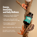 FreshCap Organic Chaga Supplement Capsules