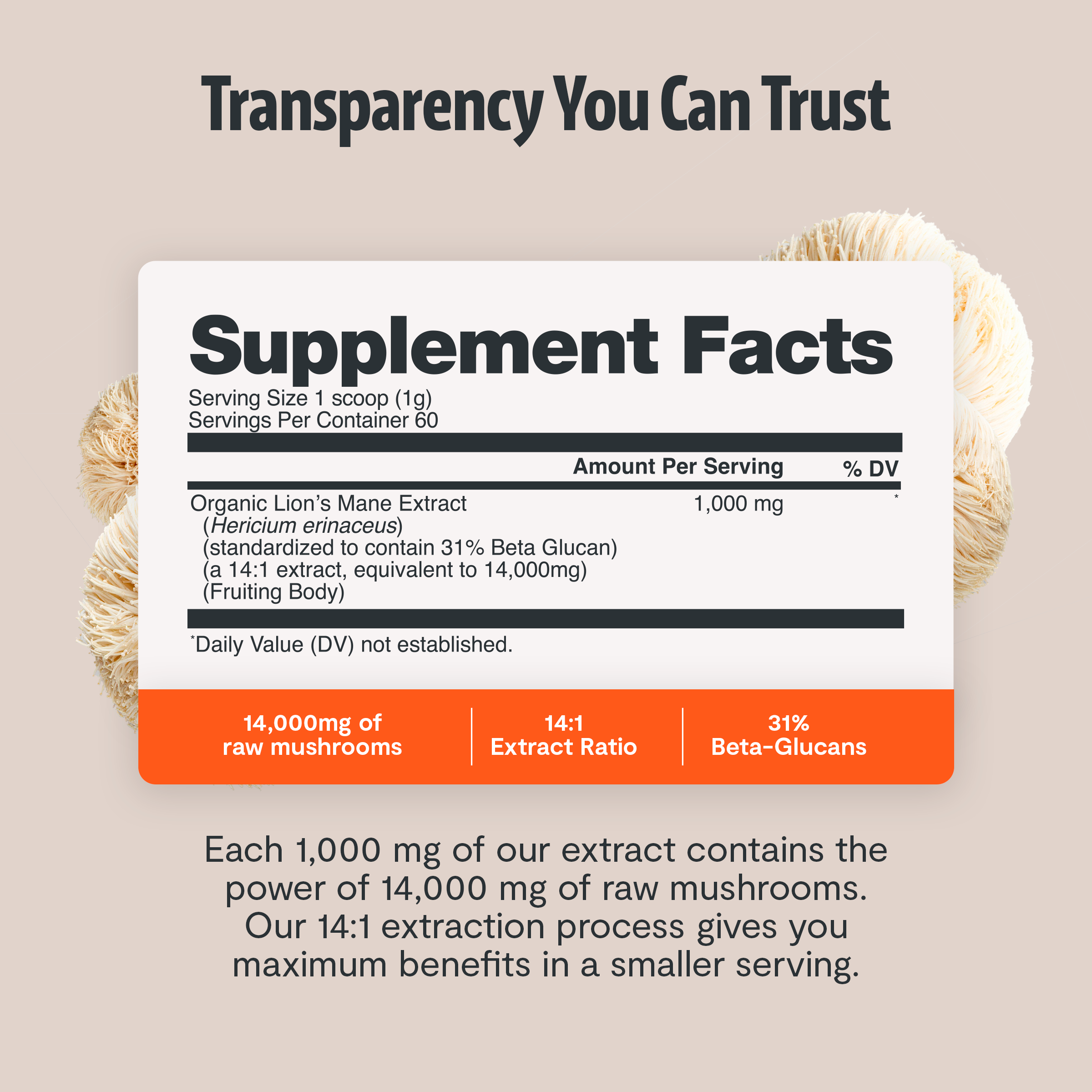 FreshCap Organic Chaga Supplement Capsules