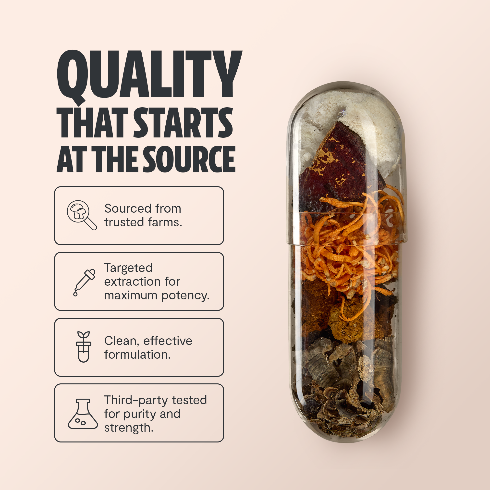 FreshCap Organic Chaga Supplement Capsules
